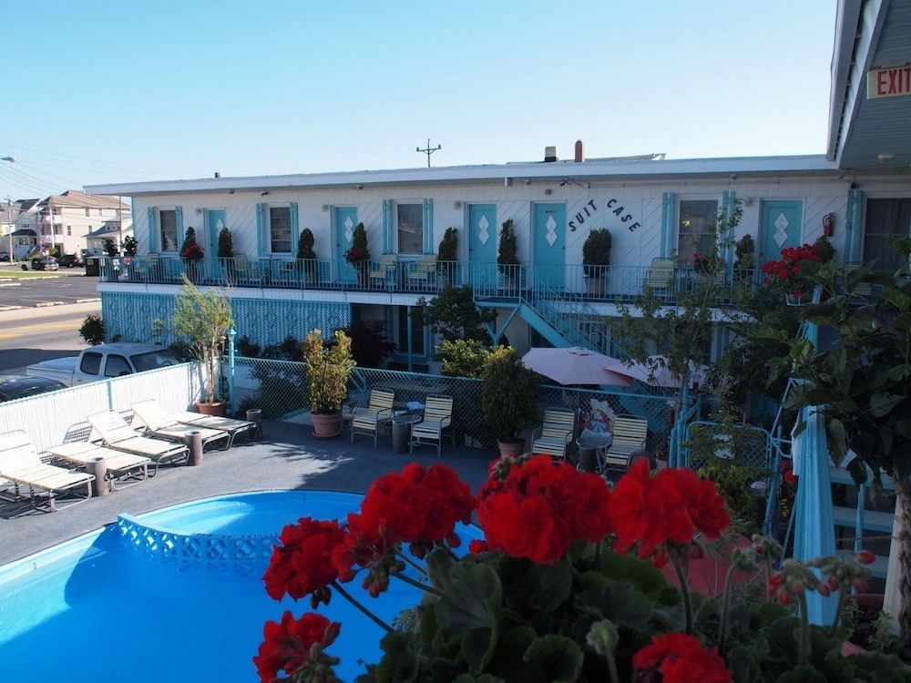Suitcase Motel & Travel