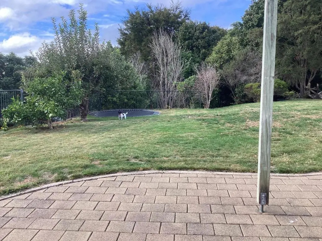Perfect At Pukete sleeps 10