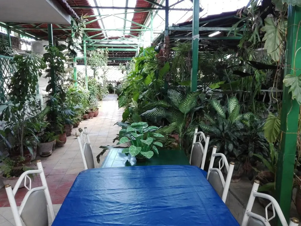 Hostal Casa Confort