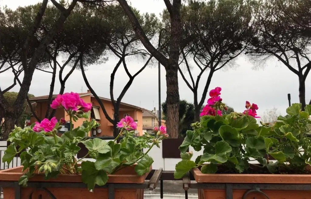 Aquarius Rome