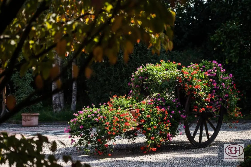 San Giacomo Horses & Agriturismo