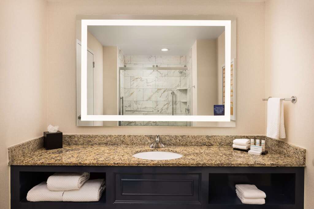 Embassy Suites by Hilton Atlanta Buckhead