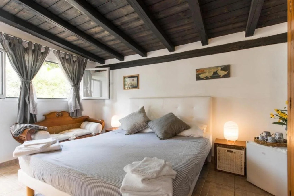 Luxury Villa - Appia Antica