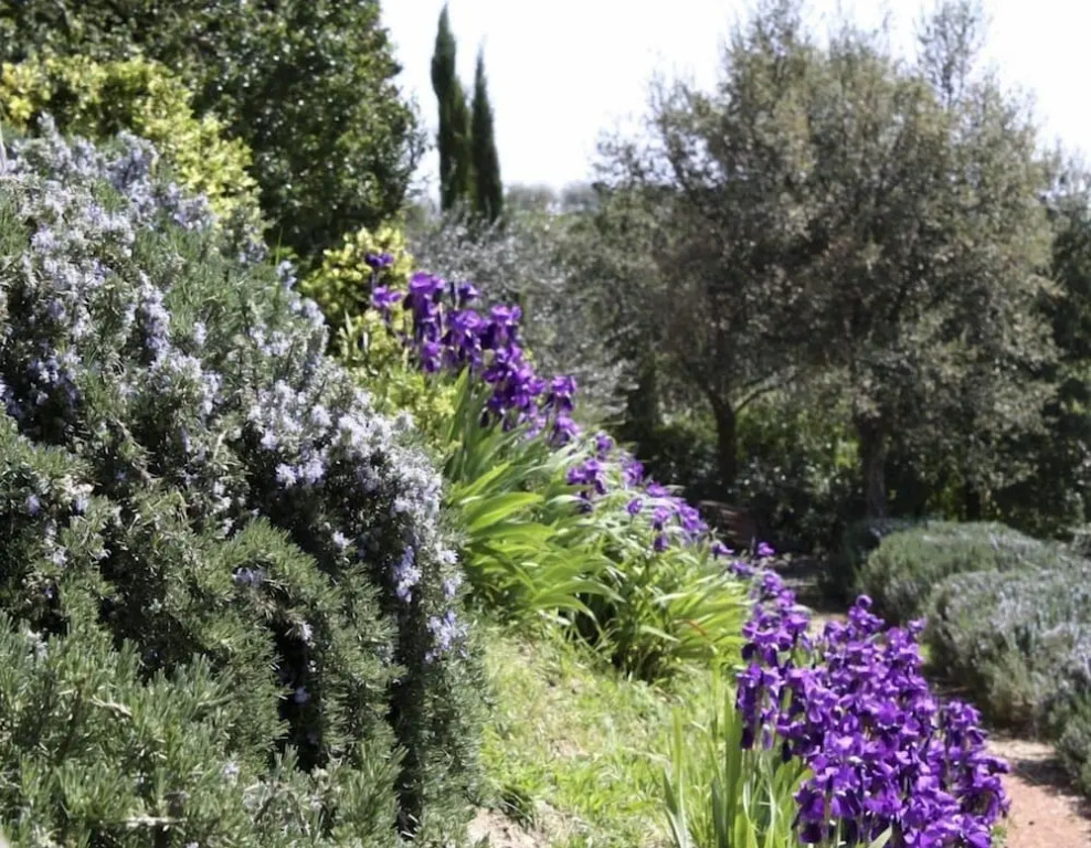 Wild Agriturismo Podere della Bruciata
