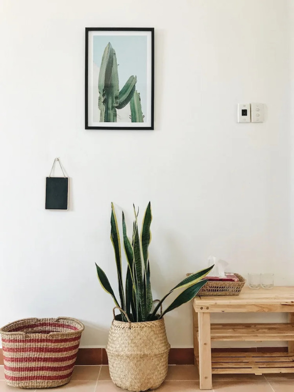 The Downtown Homestay