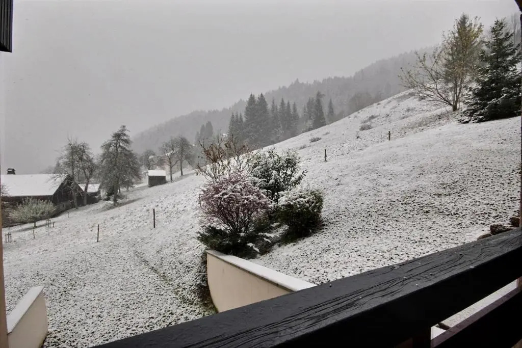 STUDIO 4 PERSONNES - PROCHE PIED DES PISTES - ST JEAN D'AULPS - PROCHE MORZINE - Cimes 18