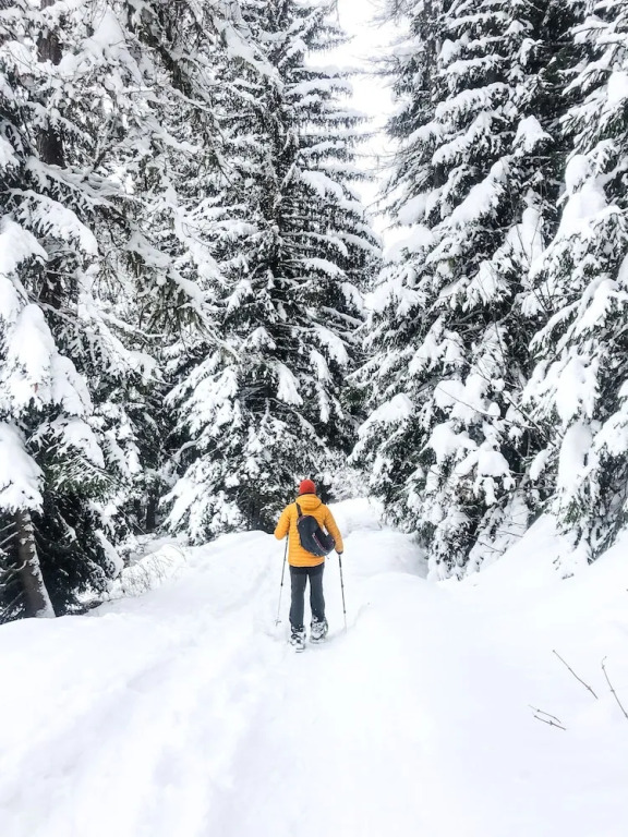 Flatty La Thuile - Little Fish