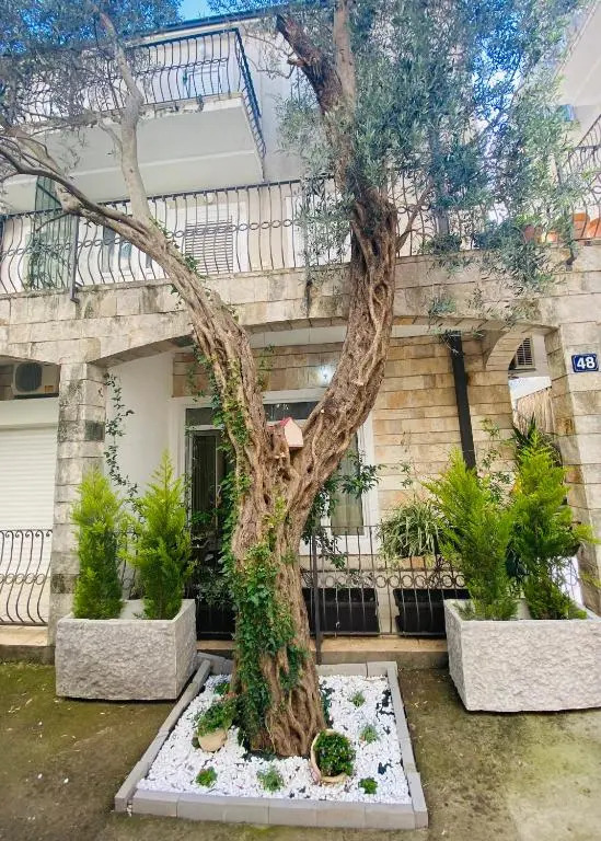 Apartment Plamenac