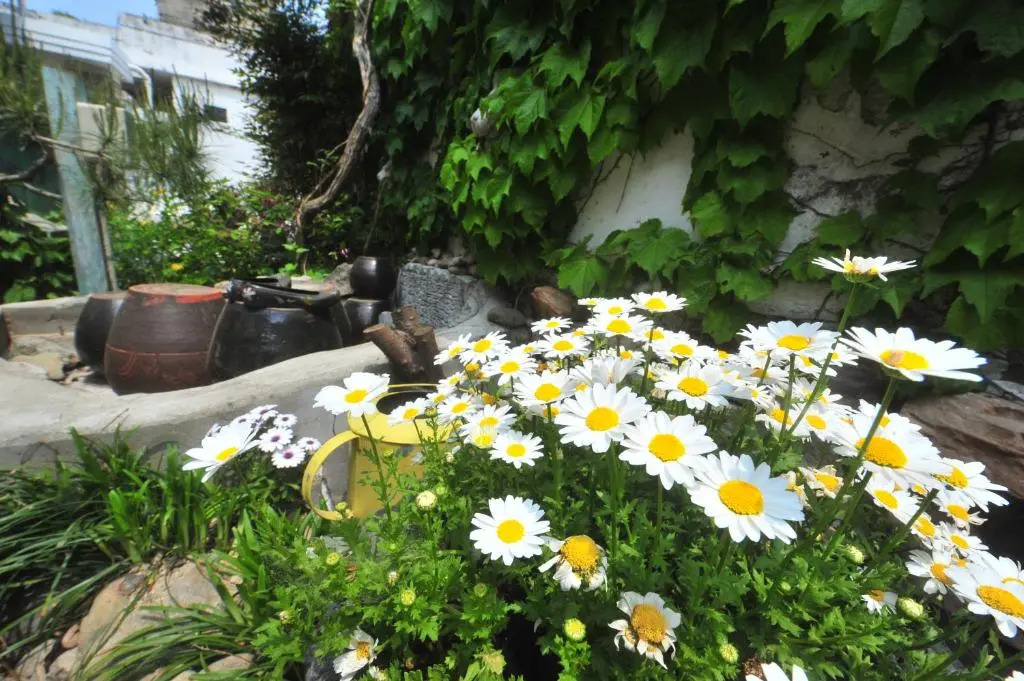Haengjin Guesthouse