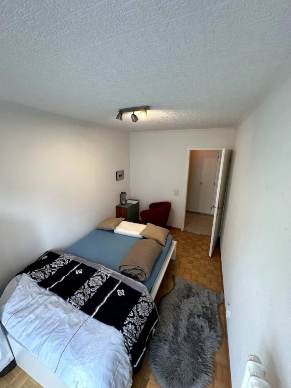 Furnished Apartment in Baden