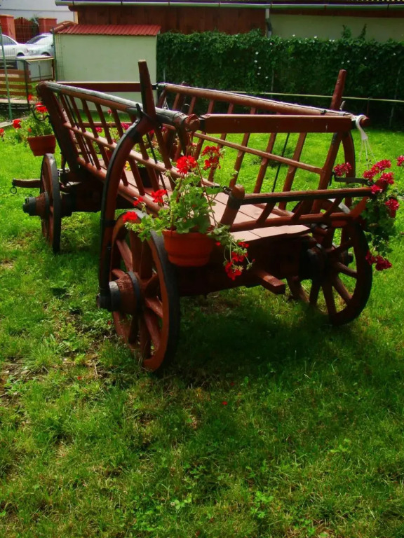 Colt de Rai