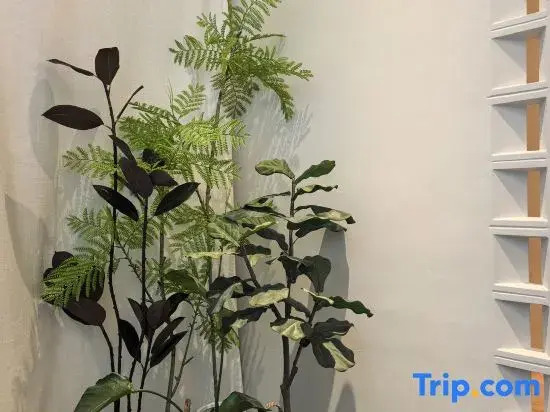 Yanhai Homestay Hotel