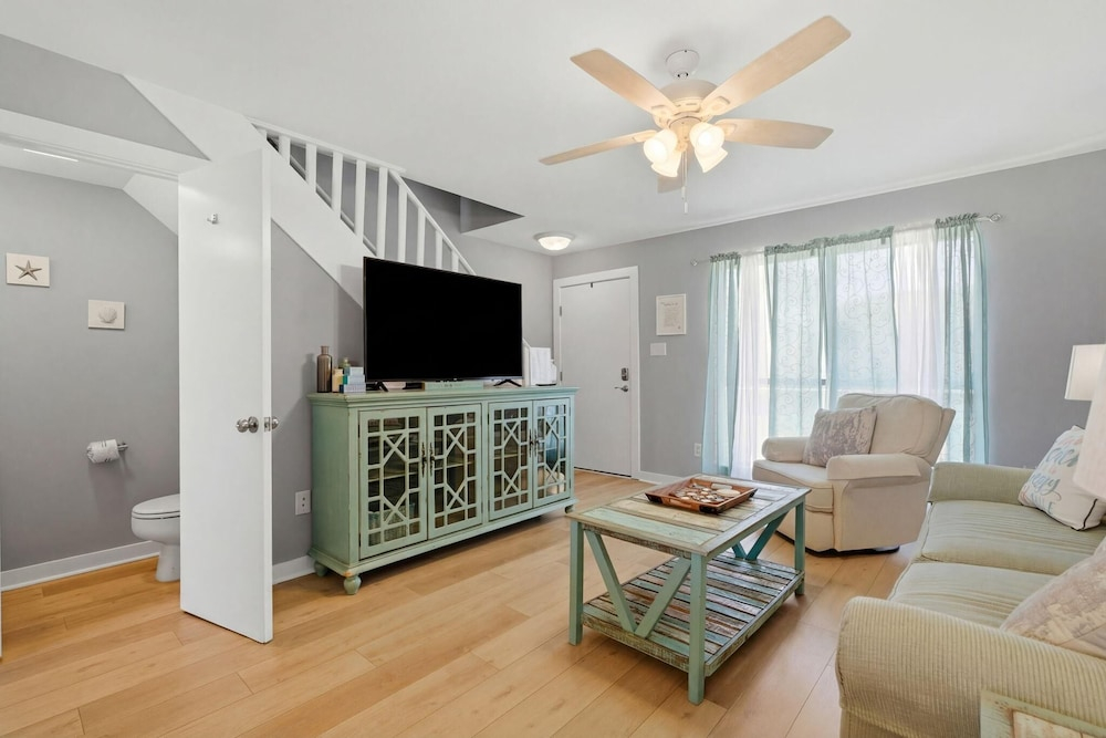 Sand Dollar 30