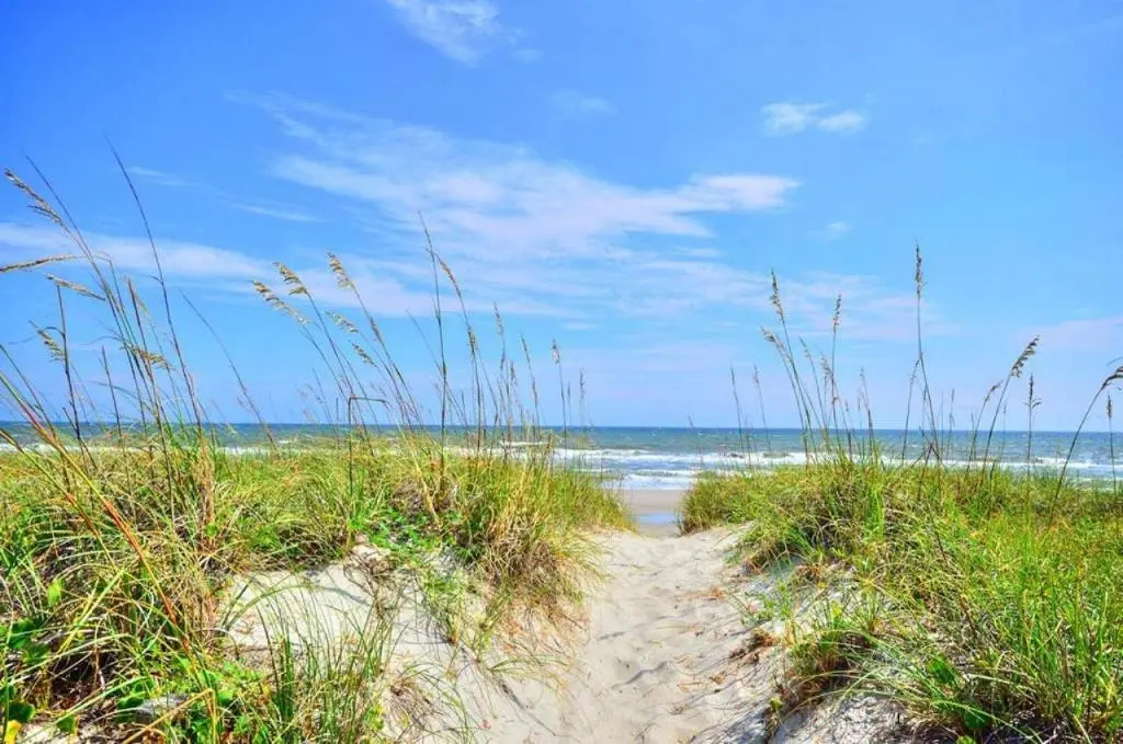 Ocean Walk 2104 - Tumlins Tide