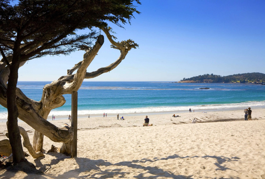 Hyatt Carmel Highlands