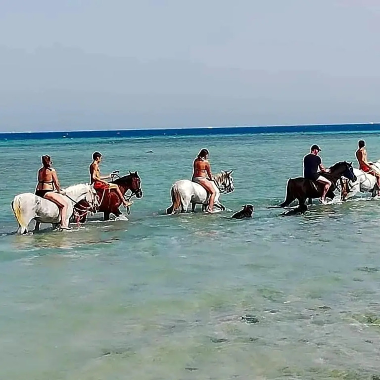 Selena bay Hurghada