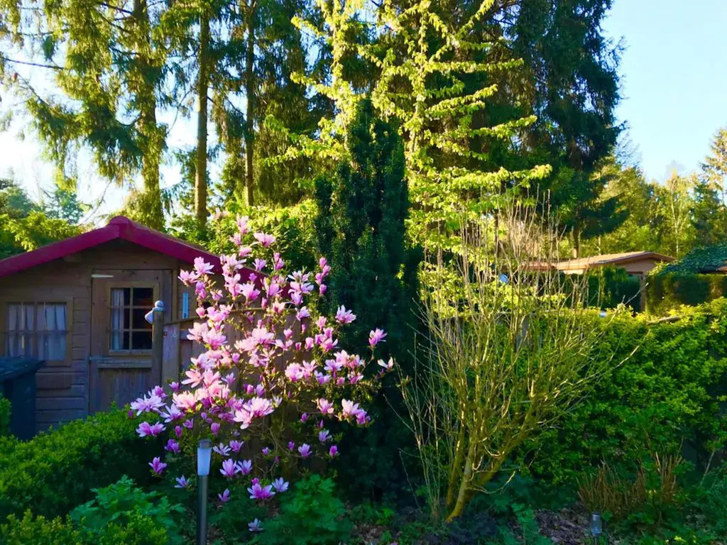 Chalet in Veluwe Near De Grote Ark