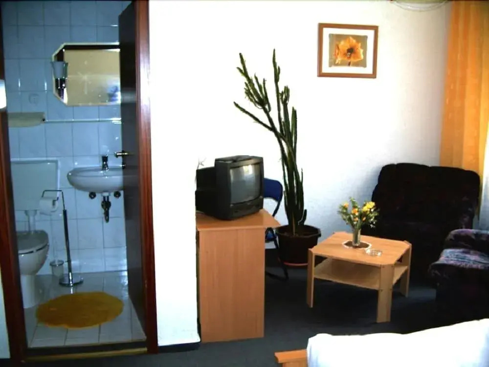 Hotel Zum Goldenen Löwen