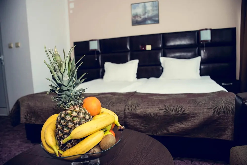 Zdravets SPA Hotel