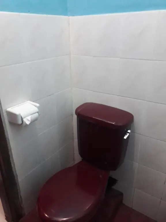 Cafe Lava Hostel