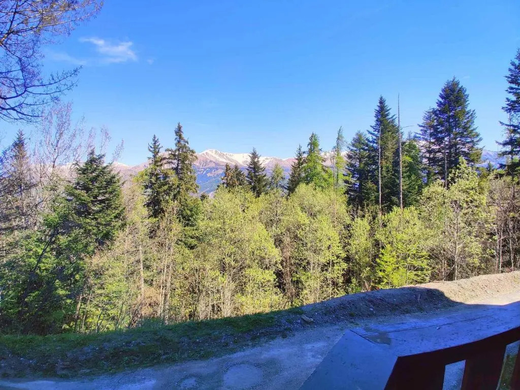 Appartement Pra-Loup, 1 pièce, 4 personnes - FR-1-165A-109