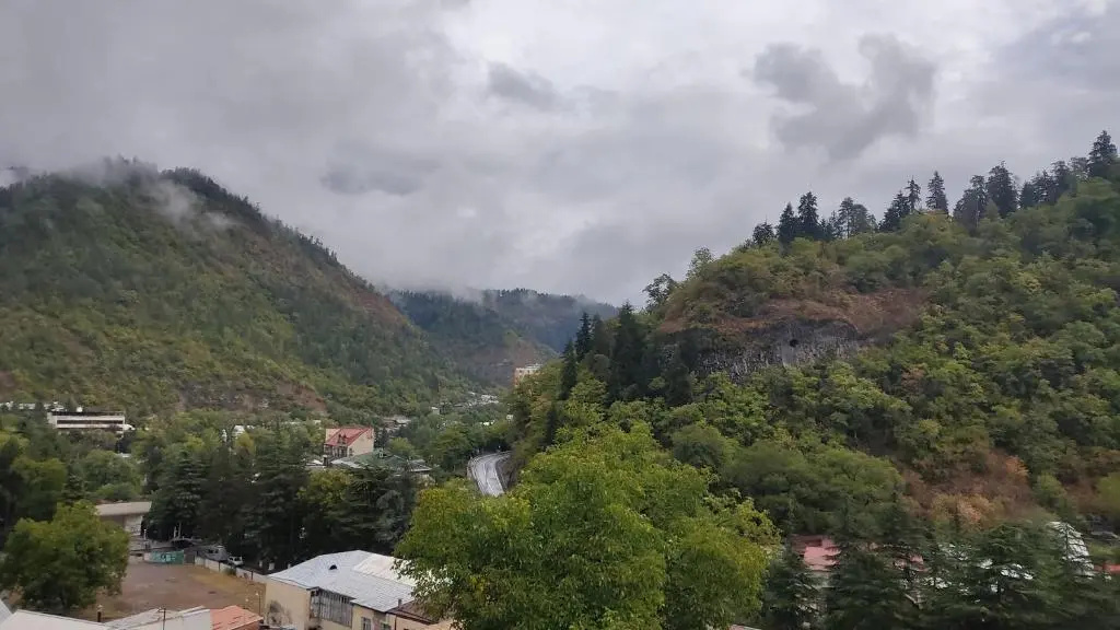 Borjomi Nest 1