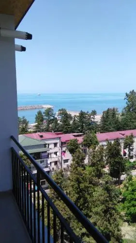 Flat Leselidze 3
