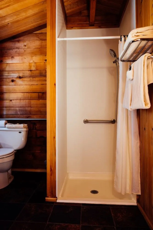 Denali Cabins
