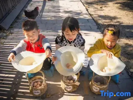 bei'jing yiju xiaoyuan homestay