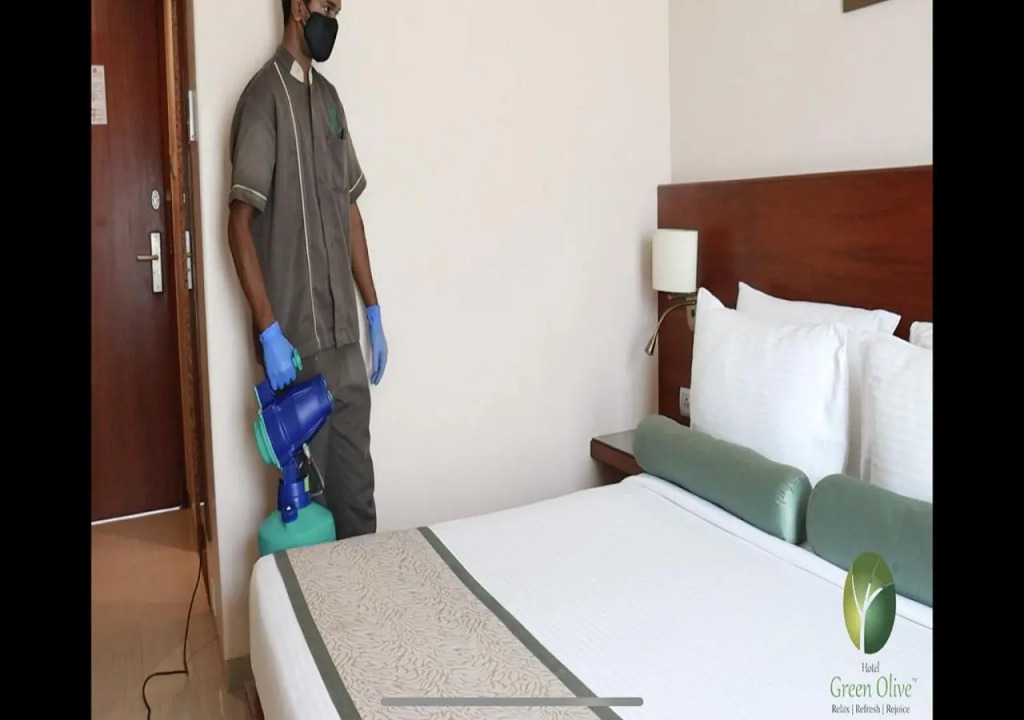 Hotel Green Olive