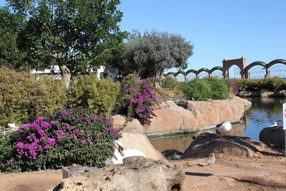 Apartment With 2 Bedrooms in Oropesa del Mar, With Wonderful sea View