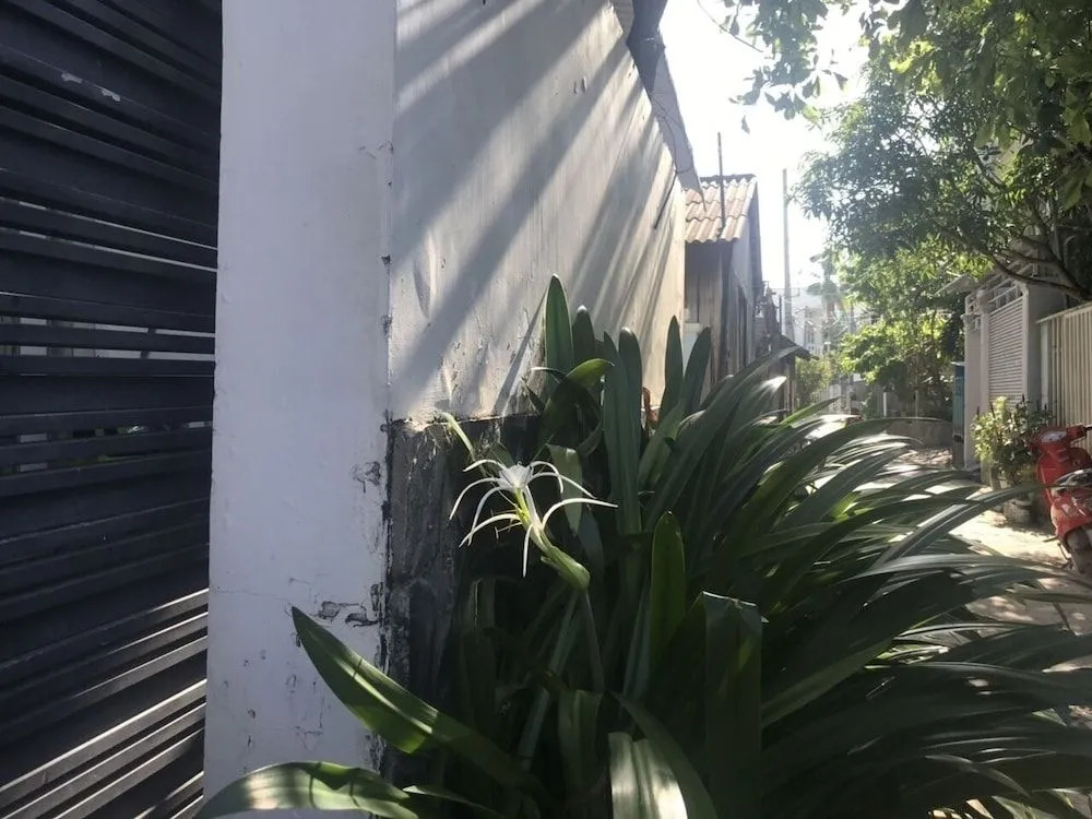 Dao Ngoc VT1