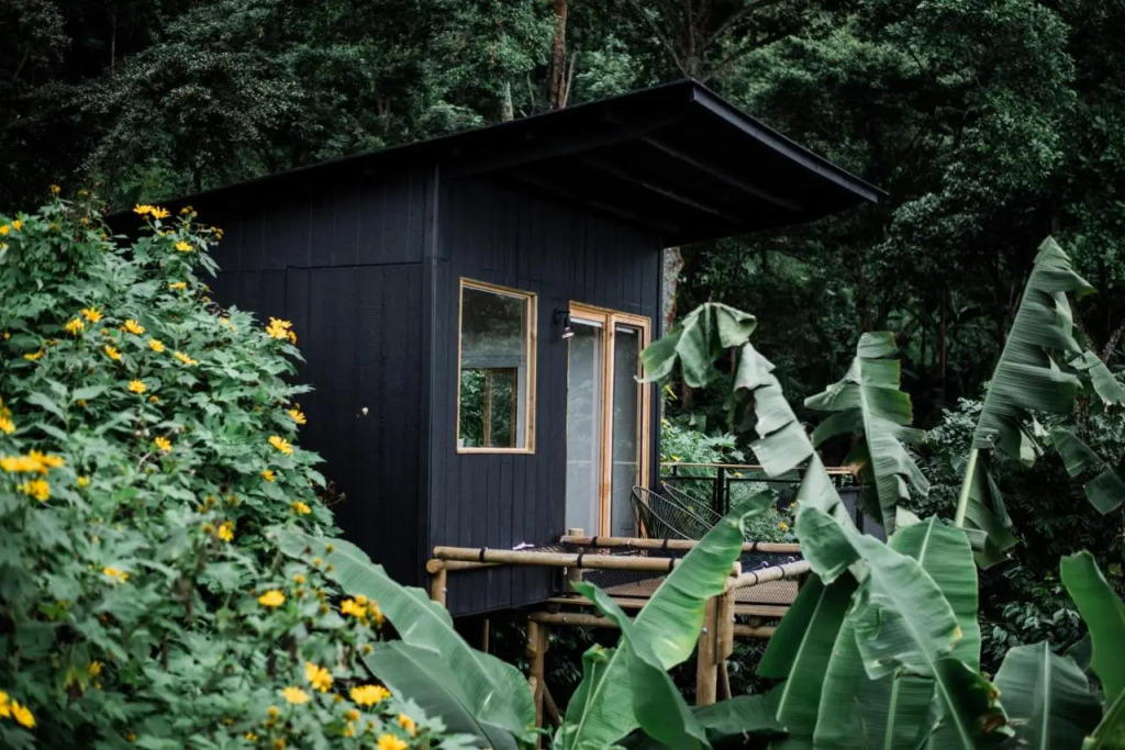 Hotel La Palma y El Tucán - Café y Naturaleza