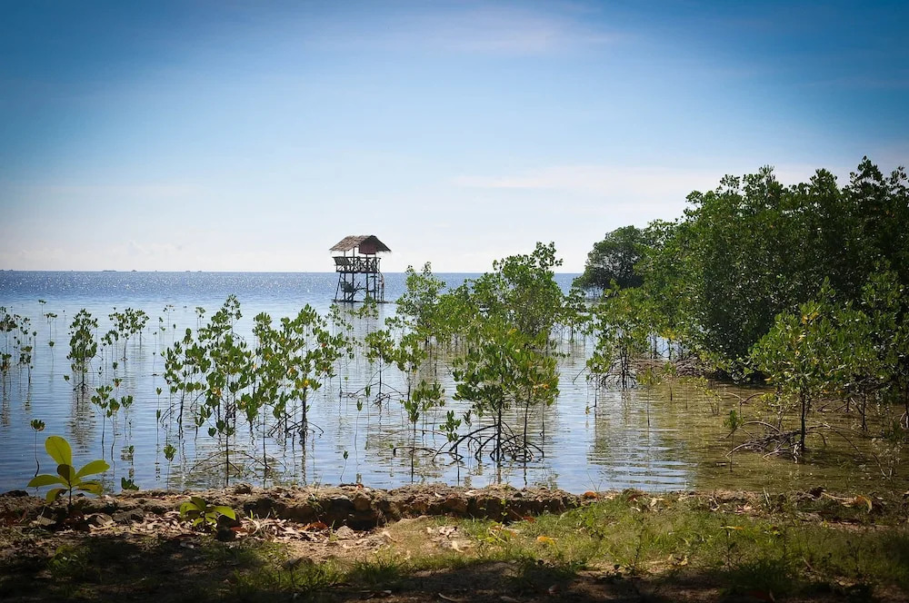 Puerto Aventura