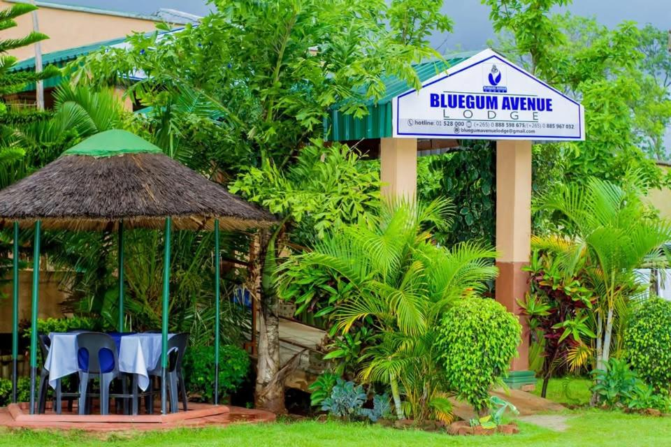 Bluegum Avenue Lodge