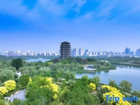 Yuelan Hotel (Shandong University of Technology)