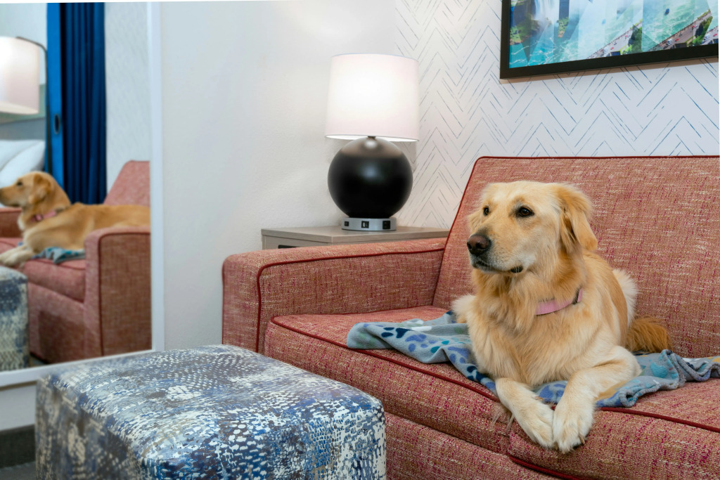 Home2 Suites by Hilton Buffalo Airport/ Galleria Mall