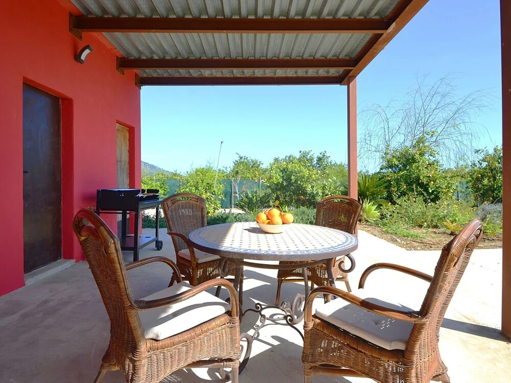 Modern Country House with Private Pool Located in An Orange Field