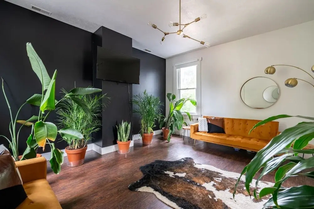 Jungle House Chillicothe Sleeps 24 Downtown Ohio Free Parking - Walk to Historic District - 5BR Luxury Home - Pet Friendly - King Beds - Over 5,800 Five Star Stays