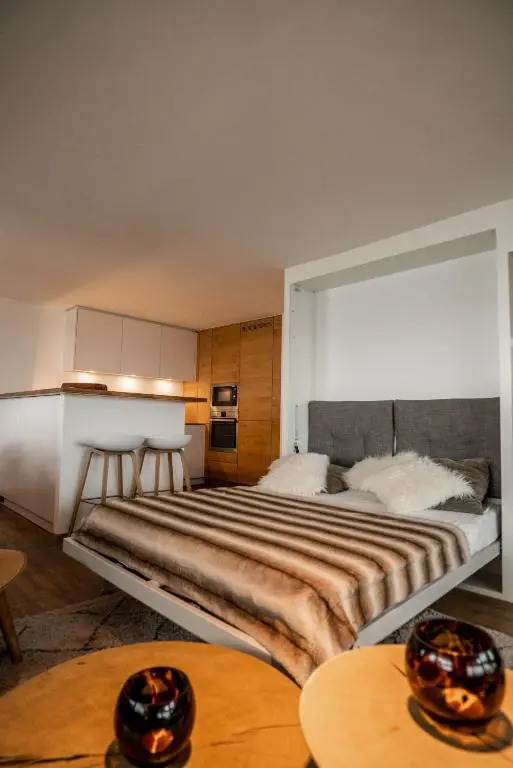 Olympic R2 - pied des pistes - carless holidays!