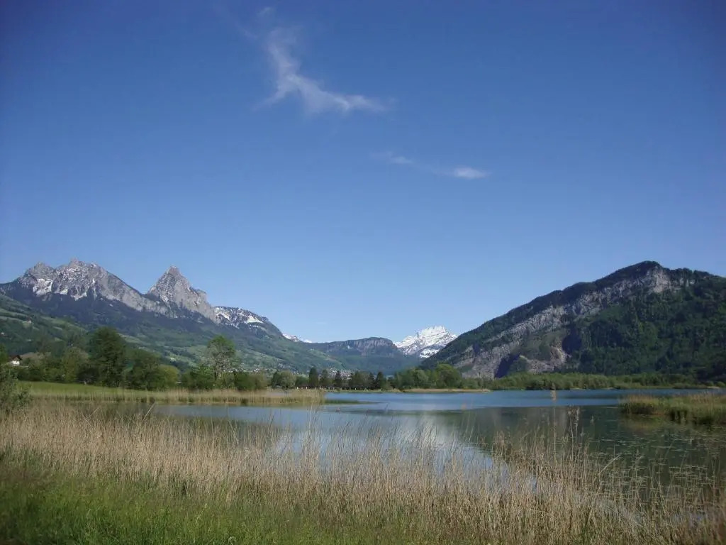 Hirschfarm, Goldau