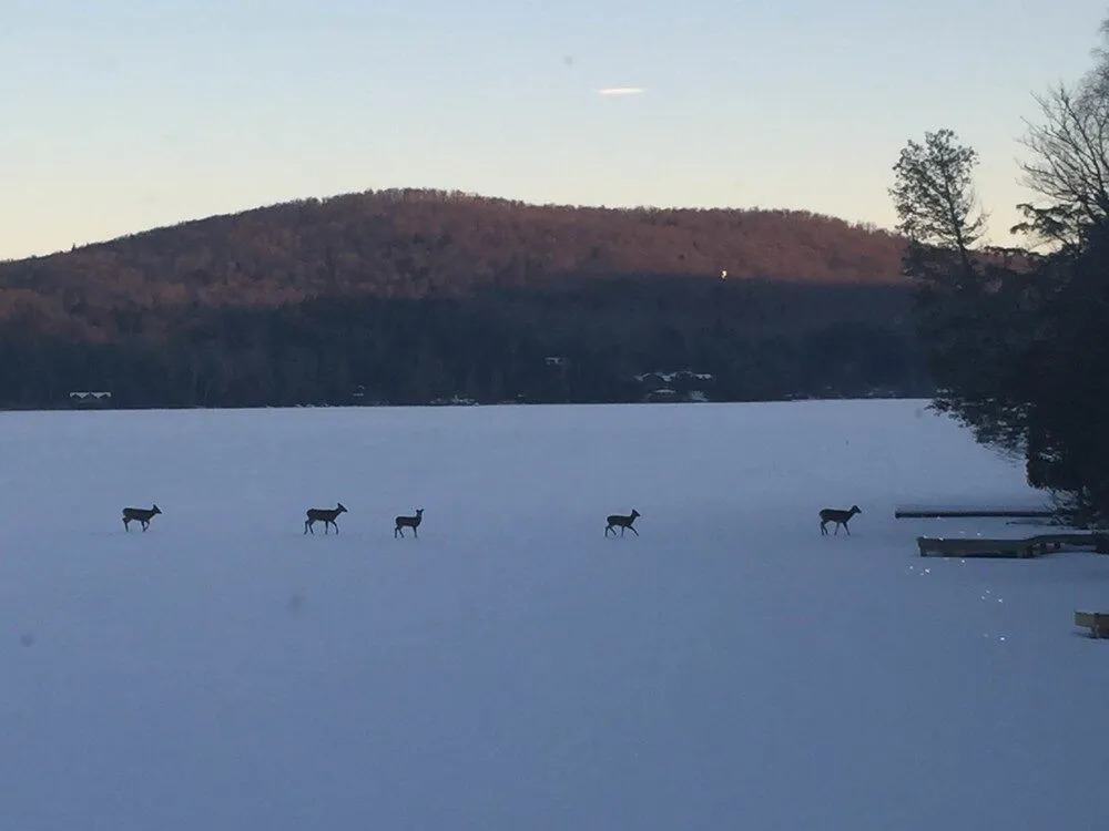 Kiwassa Lake Bed & Breakfast