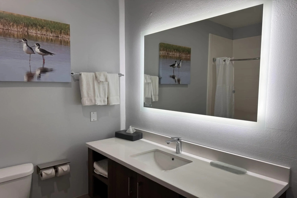 La Quinta Inn & Suites by Wyndham Alamo - McAllen East