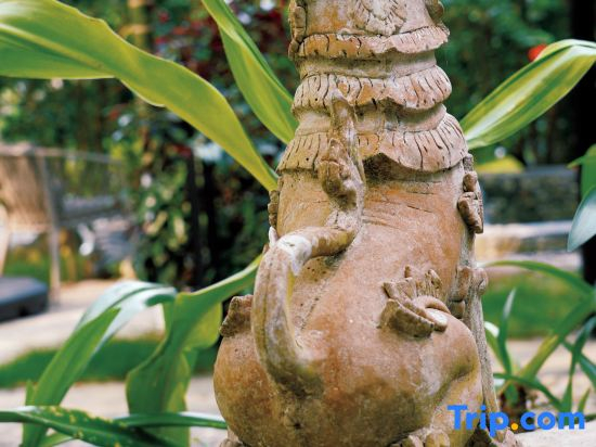Xishuangbanna Jinghong Lansha Waiyuan Forest Hot Spring Holiday Manor