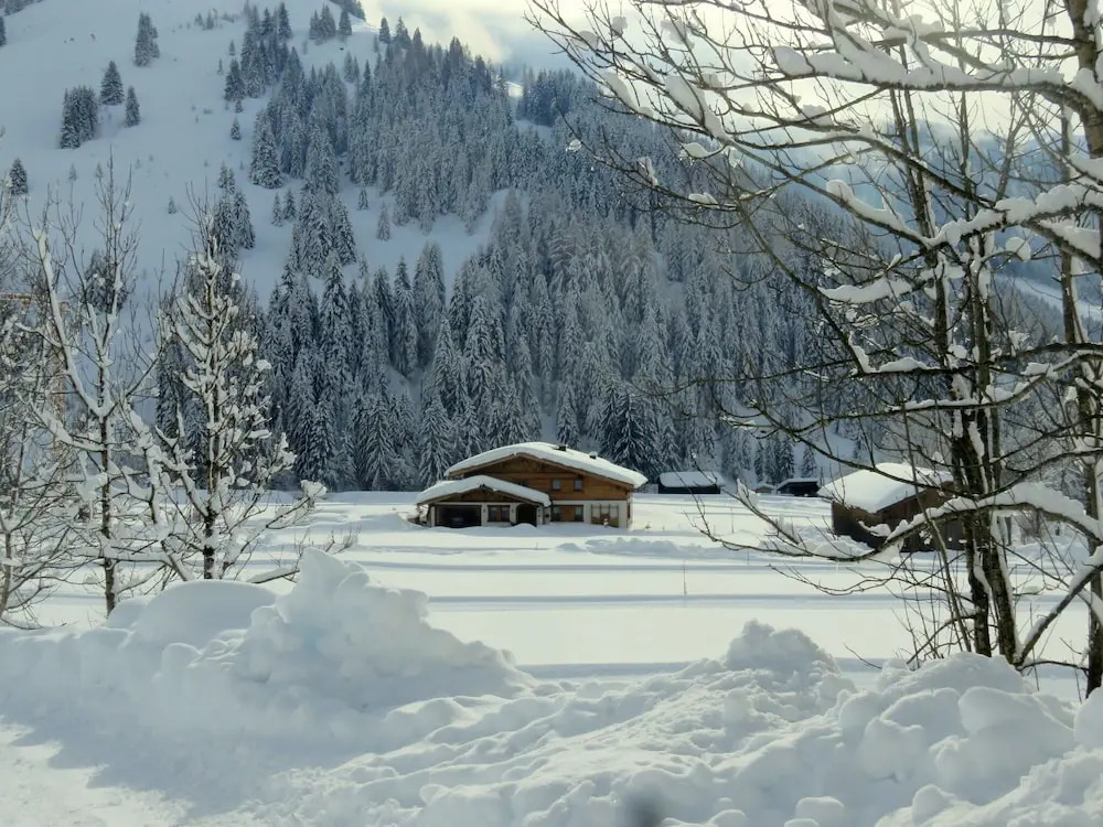 Charming Chalet in Hinterthal With Sauna