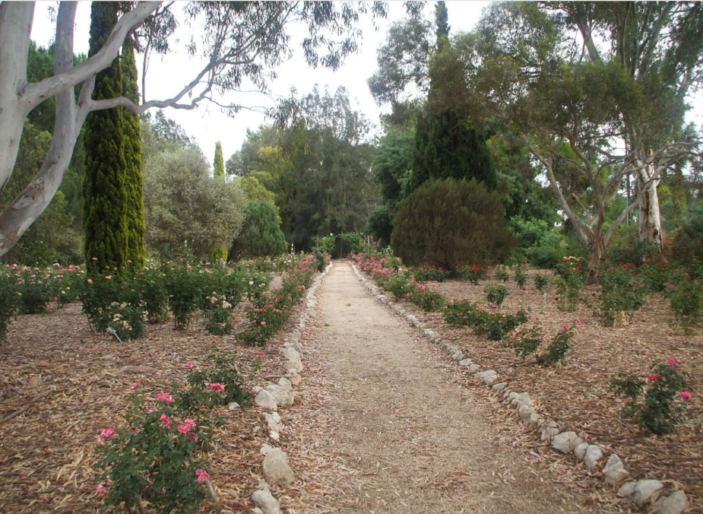 The Lyndoch Motel