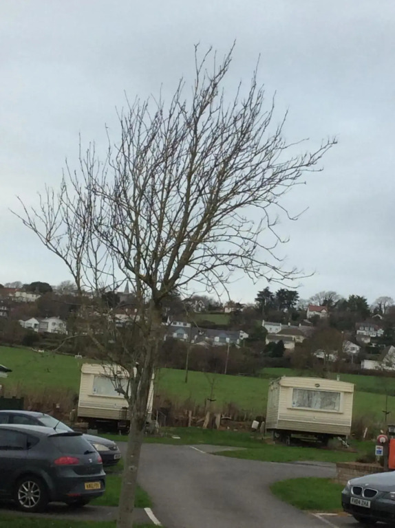 Tarka holiday park, 5A