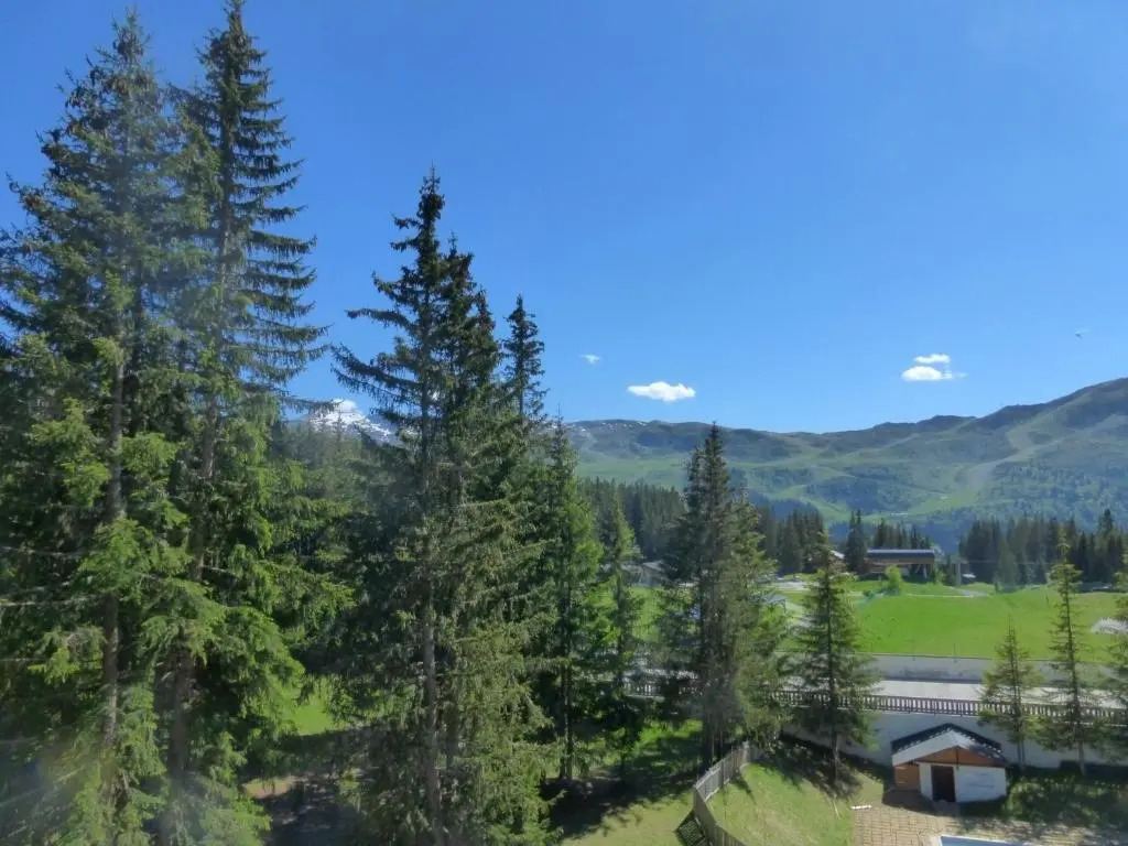 Appartement Méribel, 2 pièces, 6 personnes - FR-1-411-581