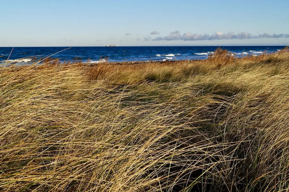 Strandleben Fehmarn - Ferienwohnung Ost