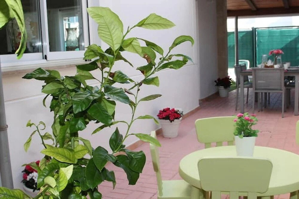 House With 4 Bedrooms in Can Picafort, With Enclosed Garden and Wifi